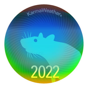 Rat 2022