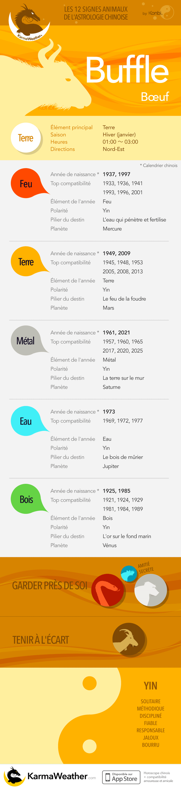 Le Buffle de l'astrologie chinoise: infographie complète