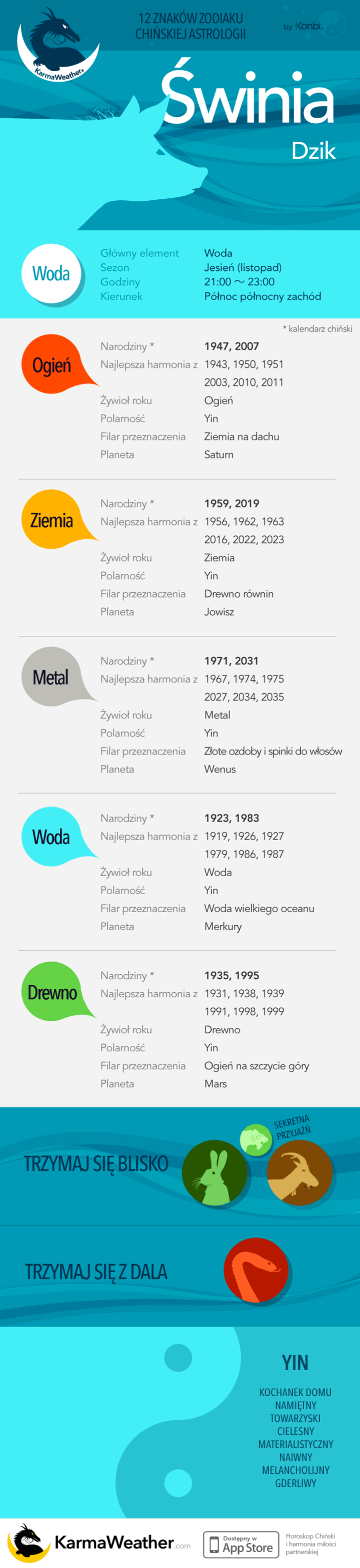 Świnia chińskiej astrologii: pełna infografika