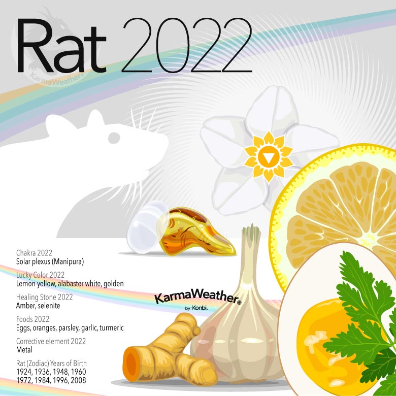 Infographic of the Chinese zodiac animal-sign of the Rat in 2022
