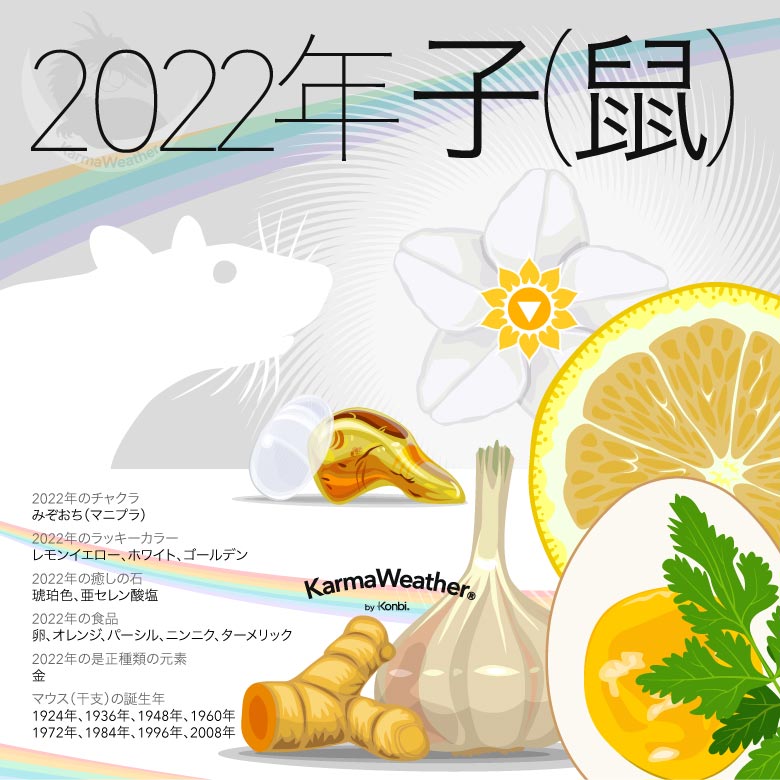 2022年のマウスの干支のインフォグラフィック