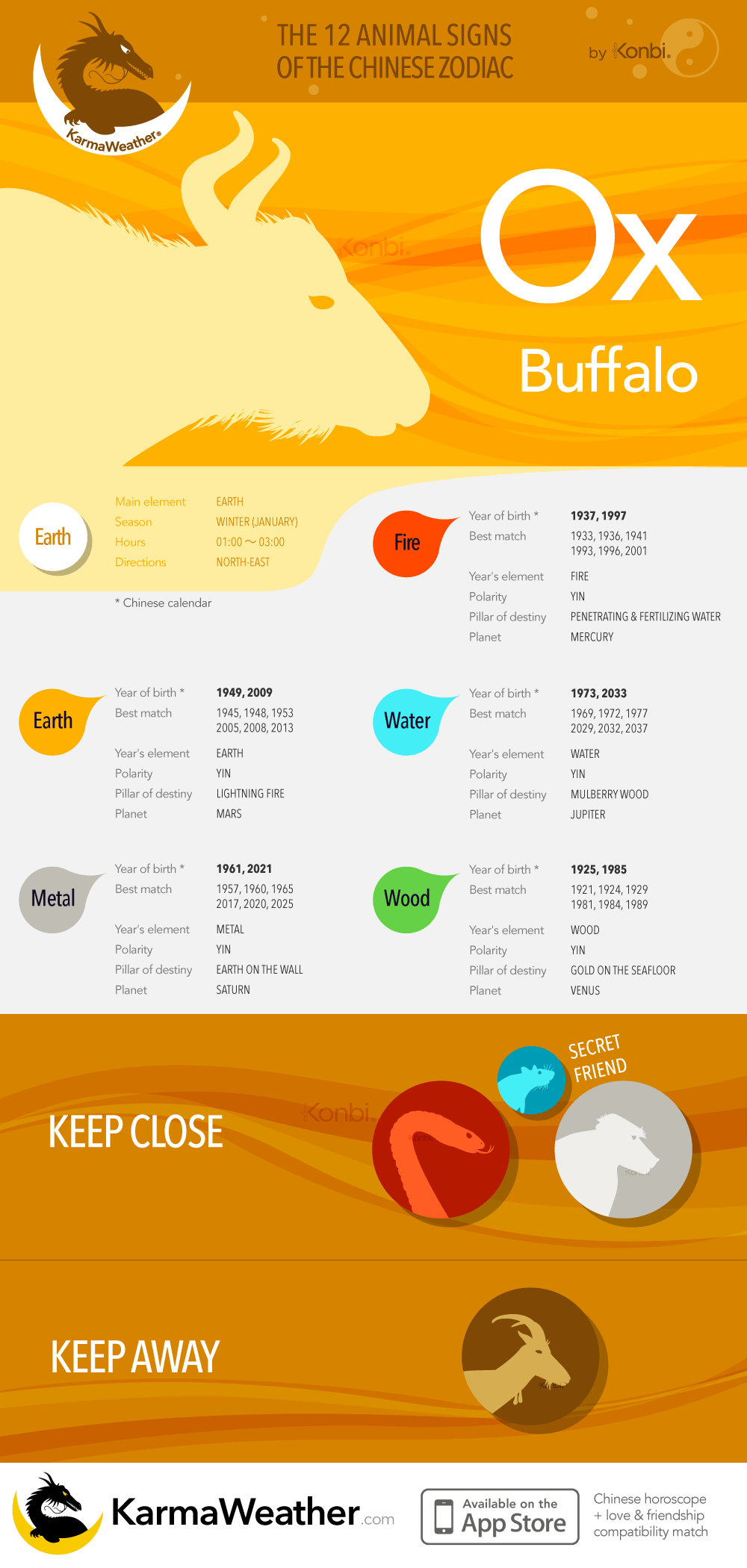 The Ox (Buffalo) of Chinese Astrology: Complete Infographic