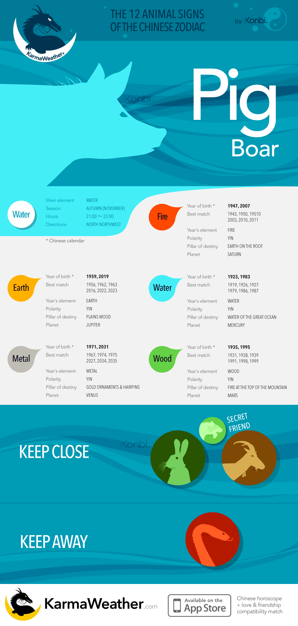 The Pig of Chinese Astrology: Complete Infographic