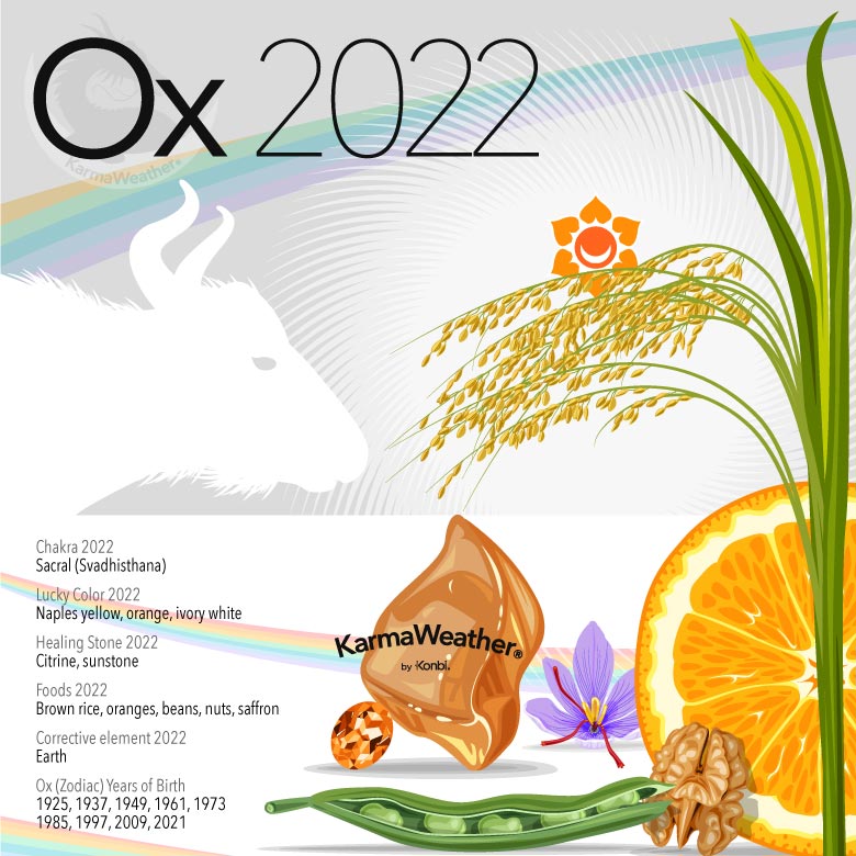 Infographic of the Chinese zodiac animal-sign of the Ox in 2022