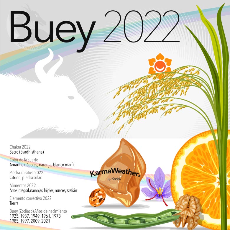Infografía del signo animal del zodíaco chino del Buey en 2022
