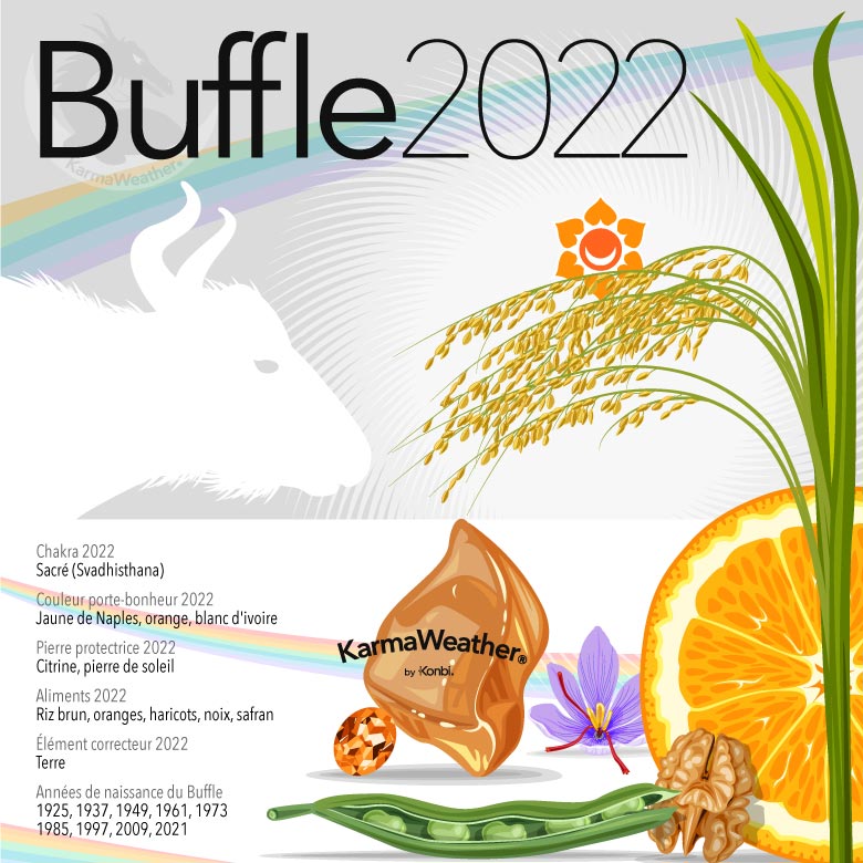 Infographie du signe astrologique du Buffle en 2022