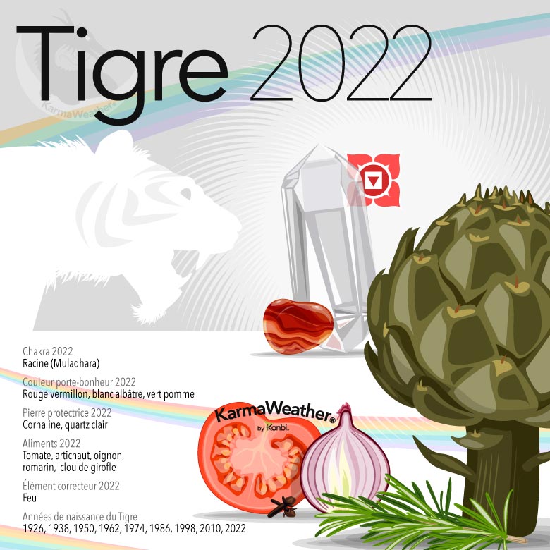 Infographie du signe astrologique du Tigre en 2022