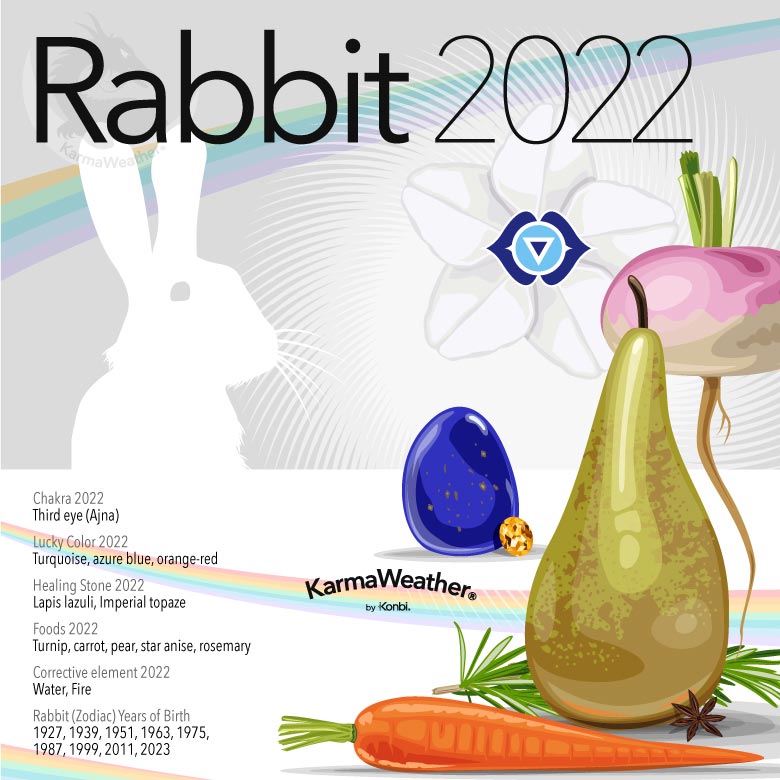 Infographic of the Chinese zodiac animal-sign of the Rabbit in 2022