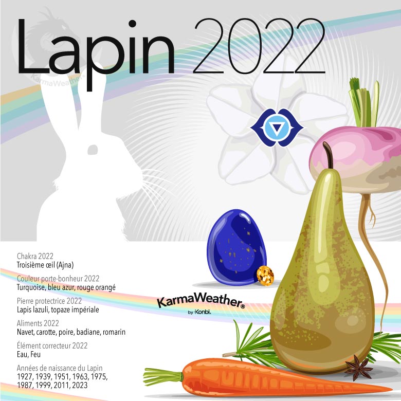 Infographie du signe astrologique du Lapin en 2022