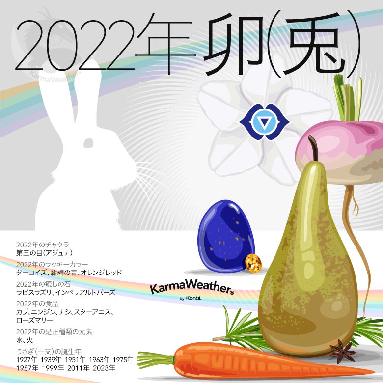 2022年のうさぎの干支のインフォグラフィック