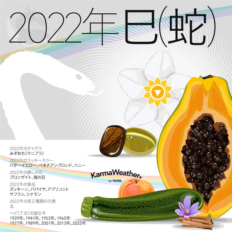 2022年のヘビの干支のインフォグラフィック