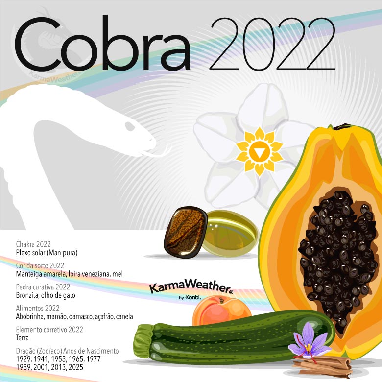 Infográfico do signo animal do zodíaco chinês da Cobra em 2022