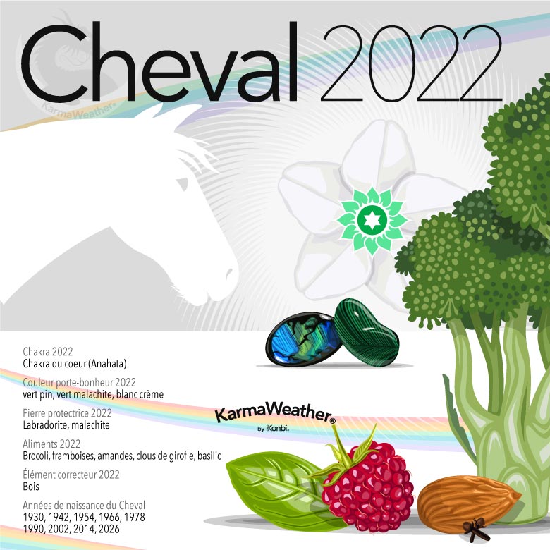 Infographie du signe astrologique du Cheval en 2022