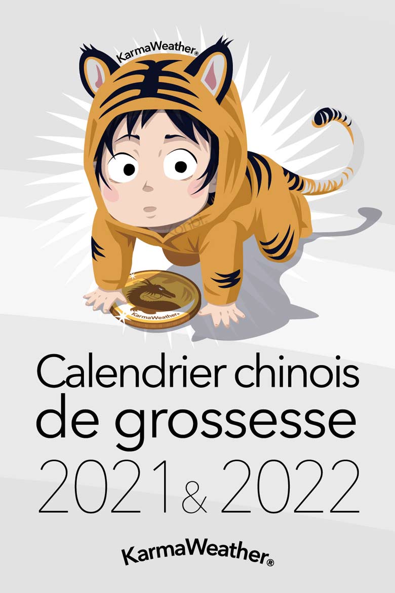 Fille Ou Garcon Calendrier Chinois Grossesse 22