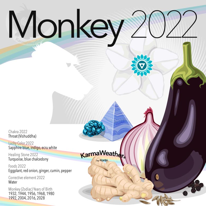 Infographic of the Chinese zodiac animal-sign of the Monkey in 2022