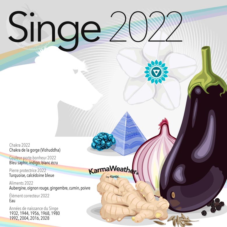 Infographie du signe astrologique du Singe en 2022