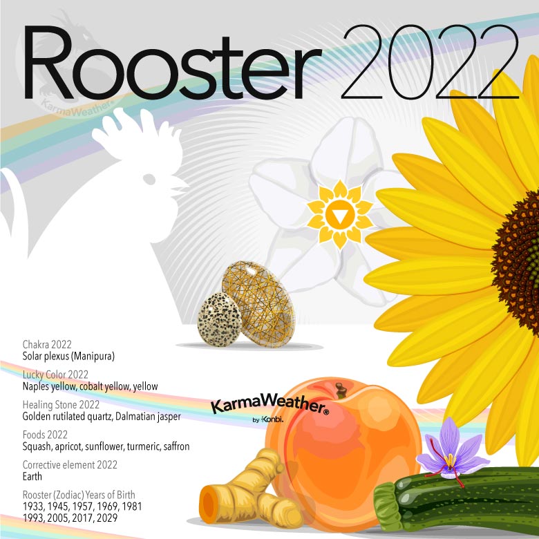 Infographic of the Chinese zodiac animal-sign of the Rooster in 2022