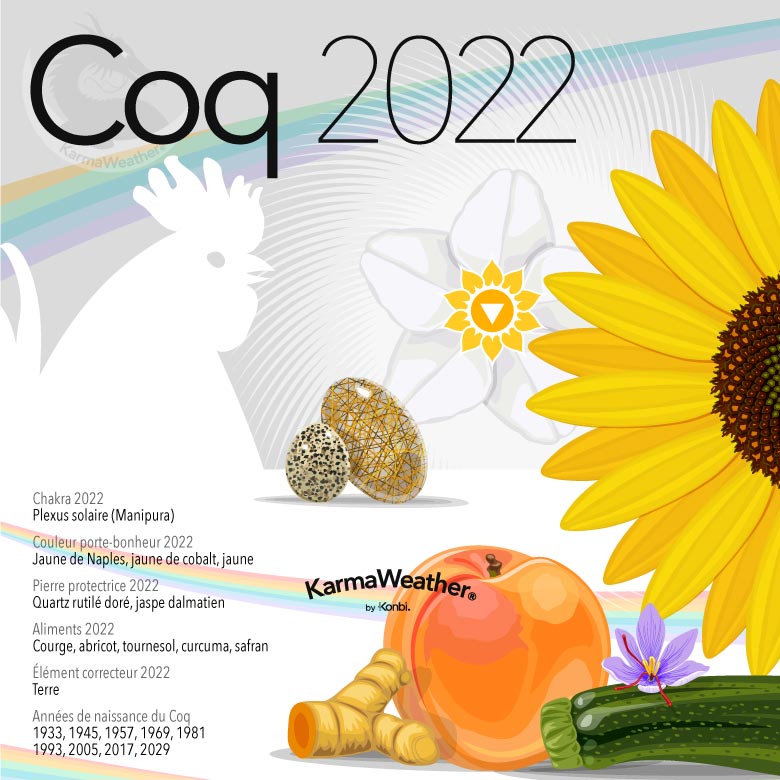 Infographie du signe astrologique du Coq en 2022