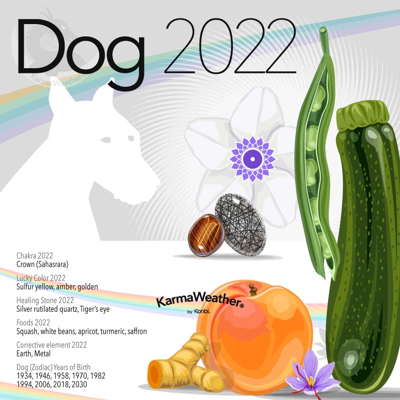 Infographic of the Chinese zodiac animal-sign of the Dog in 2022