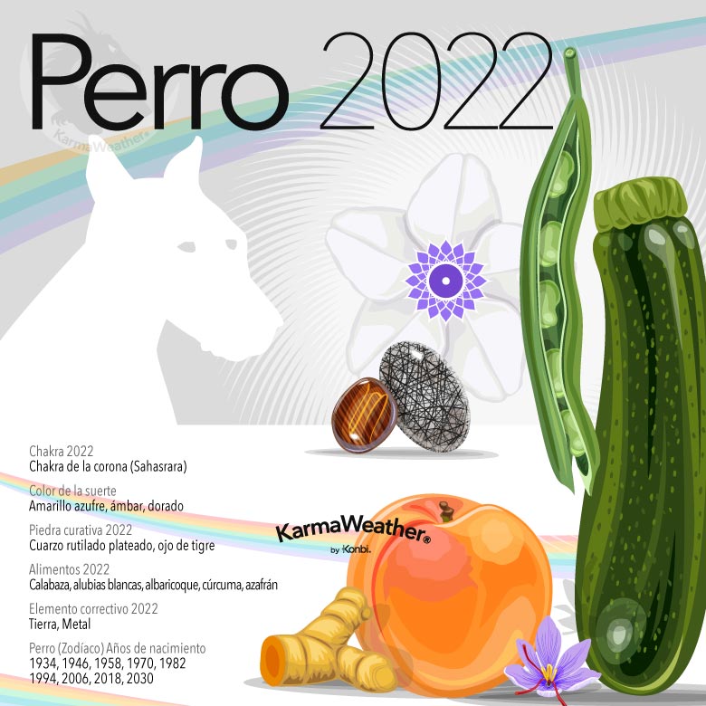 Infografía del signo animal del zodíaco chino del Perro en 2022