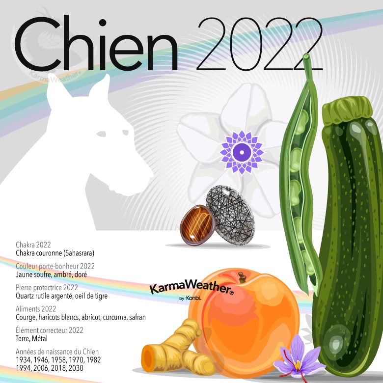 Infographie du signe astrologique du Chien en 2022
