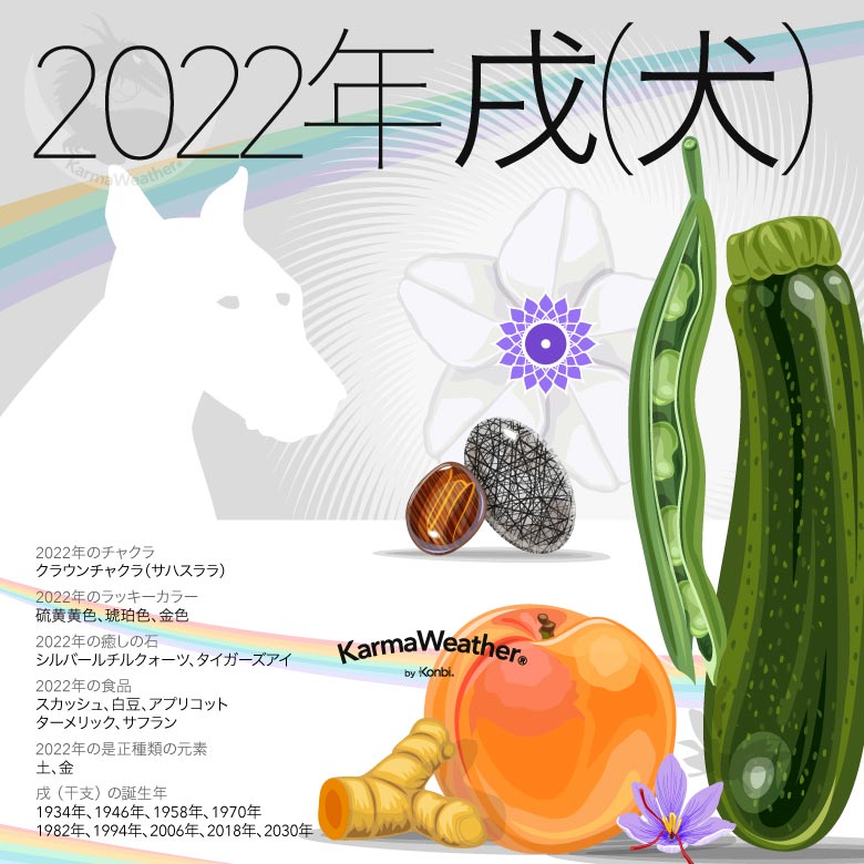 2022年の戌の干支のインフォグラフィック