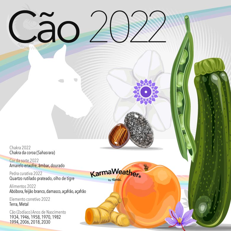 Infográfico do signo animal do zodíaco chinês do Cão em 2022