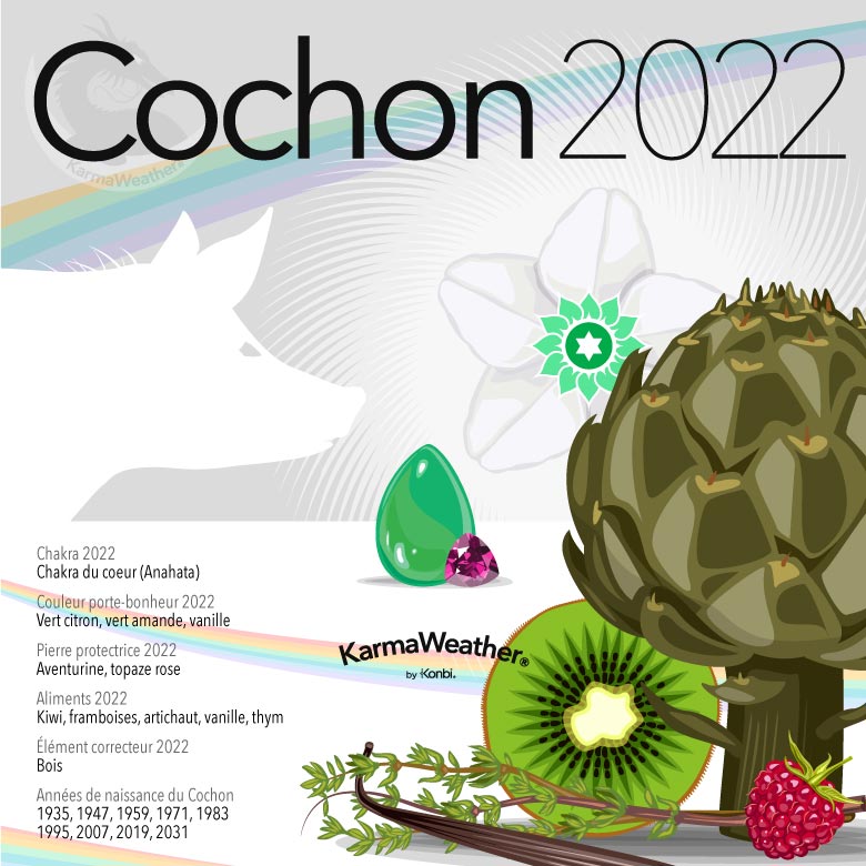 Infographie du signe astrologique du Cochon en 2022