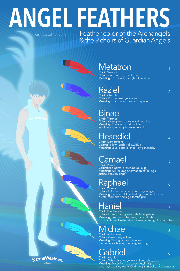 Angel Feather Colors infographic