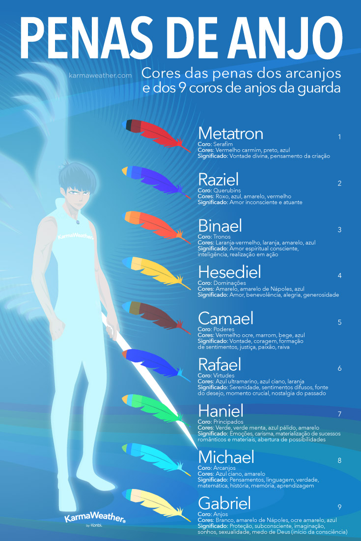 Infográfico de cores de penas de anjo