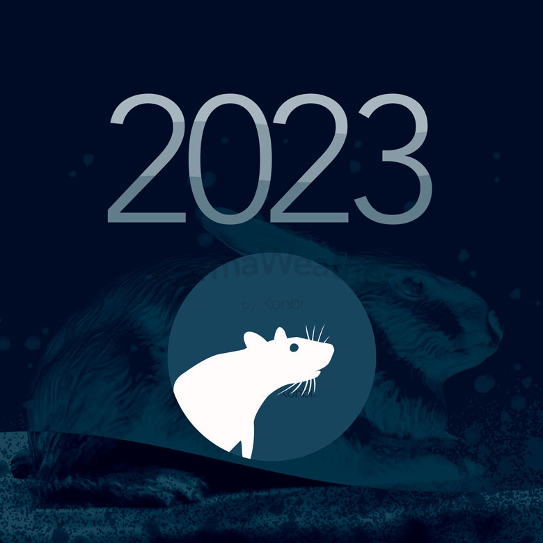 子[鼠] 2023年 干支占い