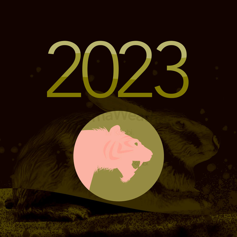 Horóscopo 2023 do Tigre
