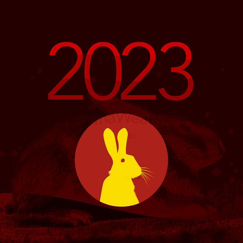 卯[兎] 2023年 干支占い