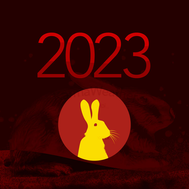 Year of the Rabbit 2023 Chinese New Year Lucky Red 