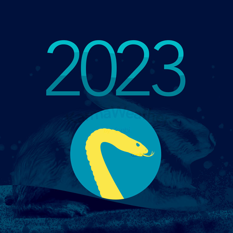 Horoscope 2023 du Serpent