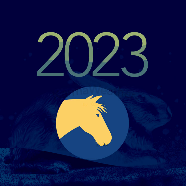 午[馬] 2023年 干支占い