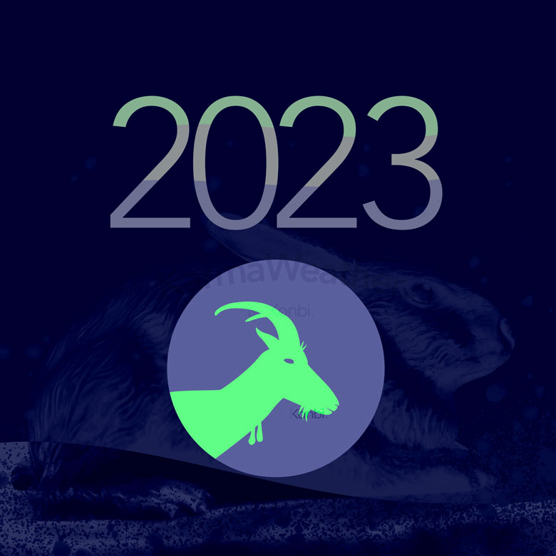 未[羊] 2023年 干支占い