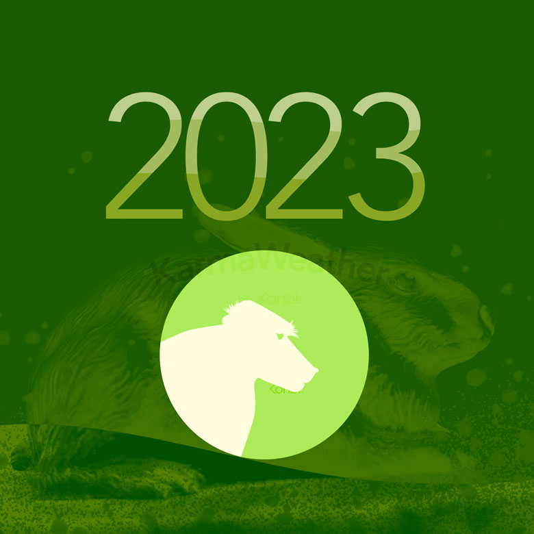 Monkey 2023 Horoscope