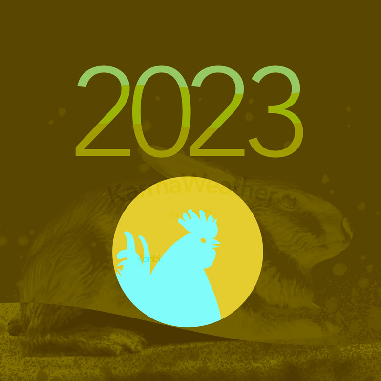 Horoscope 2023 du Coq