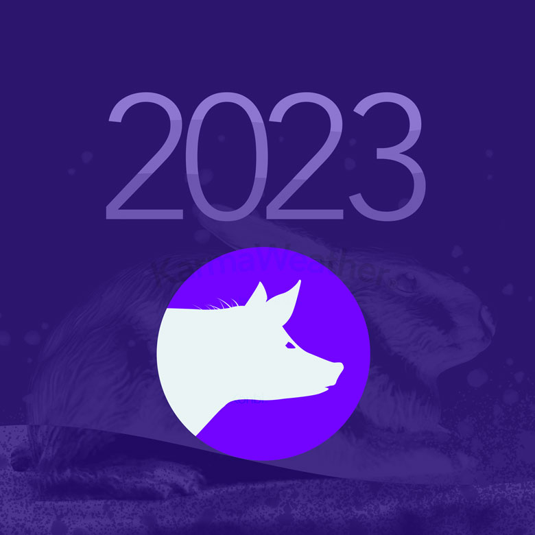 Horóscopo 2023 del Cerdo