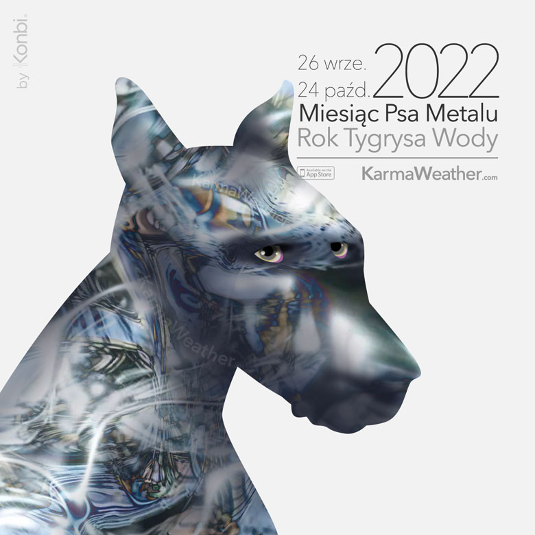 Ilustracja KarmaWeather na Miesiąc Psa Metalu 2022