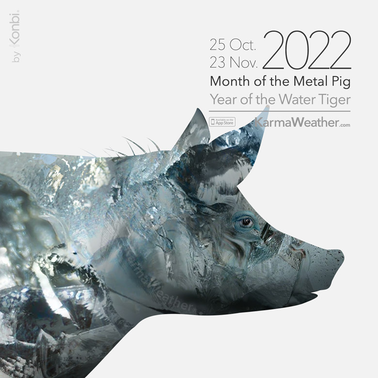 KarmaWeather Illustration for the Month of the Metal Pig of 2022