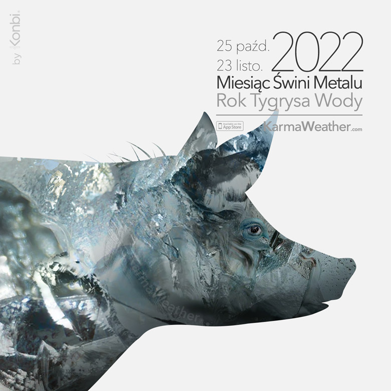 Ilustracja KarmaWeather na Miesiąc Świni Metalu 2022