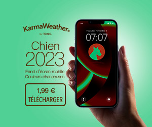 Couleurs tendance 2023 du Chien: téléchargez l'écran d'accueil mobile