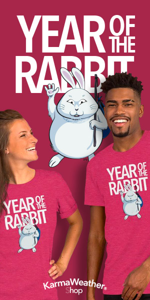 Year of the Rabbit T-shirt