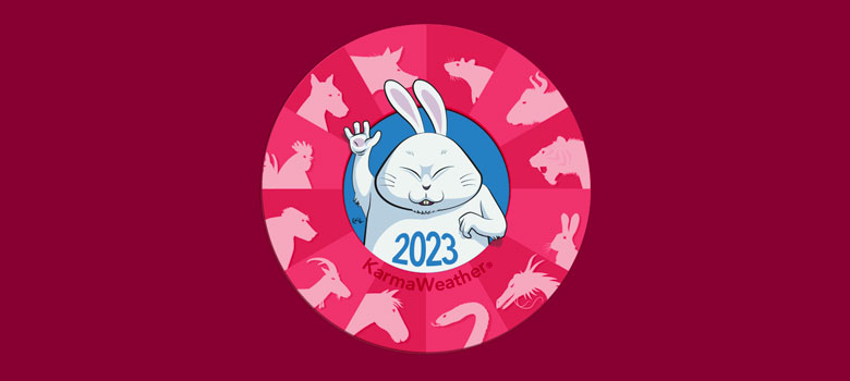 Year of the Rabbit 2023 PERSONALIZED Chinese New Year Lucky 