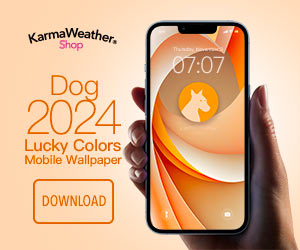 Dog Lucky Colors 2024: Download Mobile Wallpaper