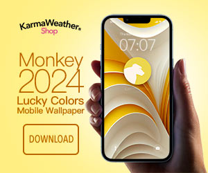Monkey Lucky Colors 2024: Download Mobile Wallpaper