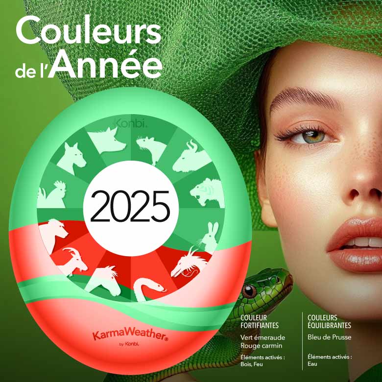Cartes Porte-bonheur Chinoises Tai Sui 2025 - Année Du Serpent - Lot De 4 En Alliage Doré - Pour Portefeuille, Protection, Succès