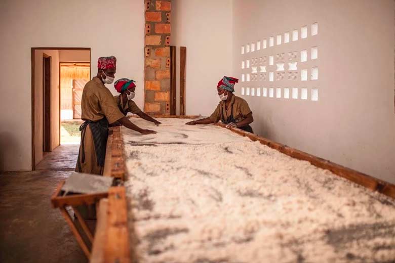Transformation des noix de coco au Mozambique